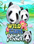 slot เครดิตฟรี 50 ยืนยันเบอร์ล่าสุด ทดลองเล่นทันที!